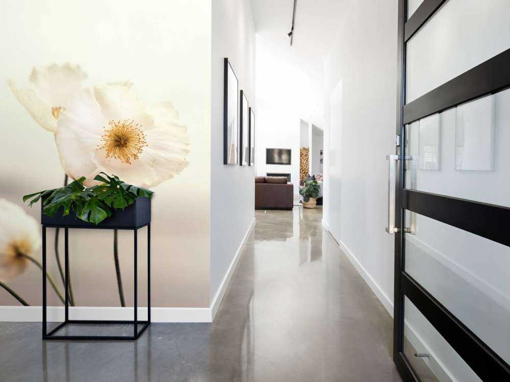 Papaveri bianchi in primo piano