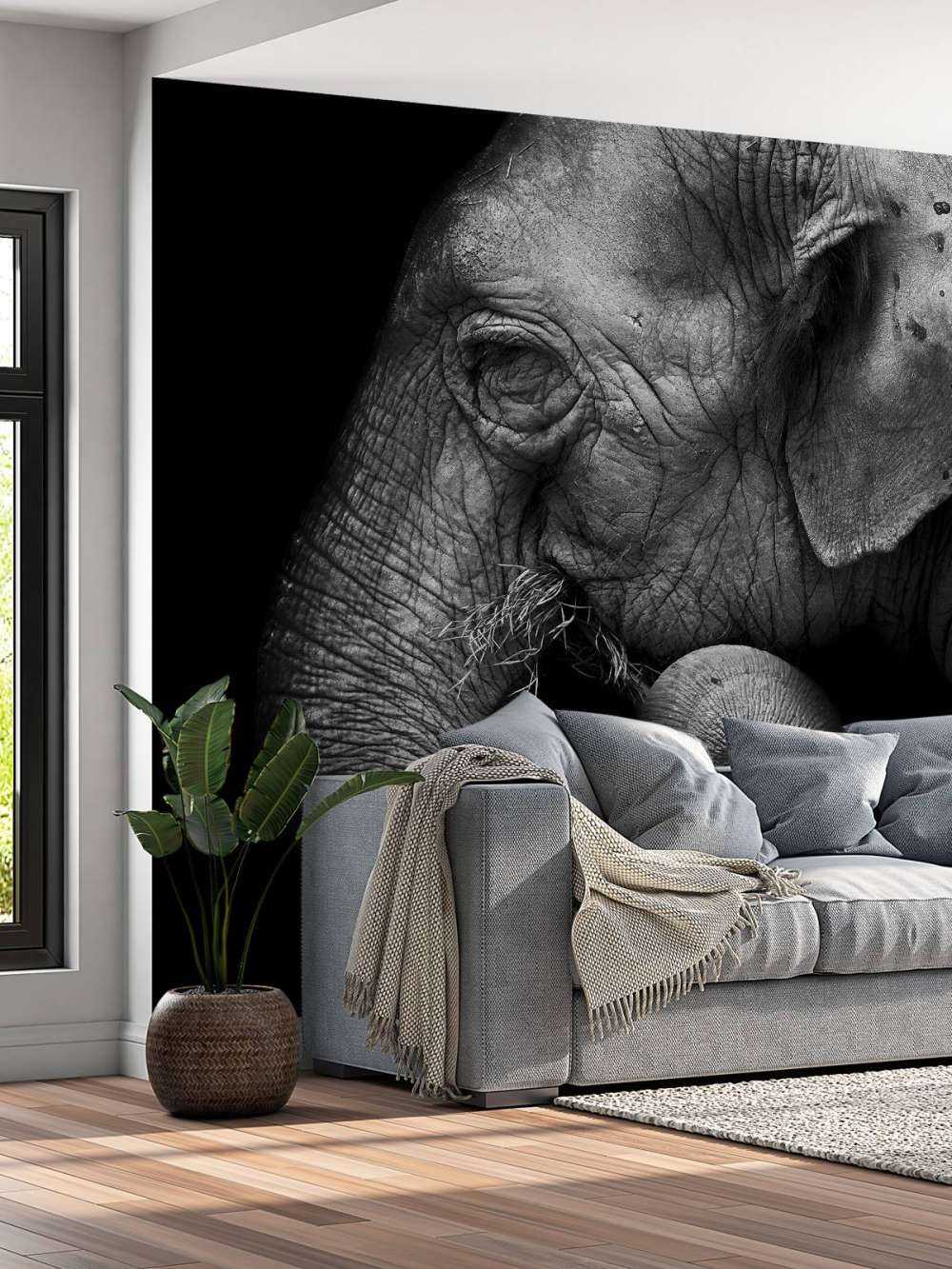 Ritratto di elefante