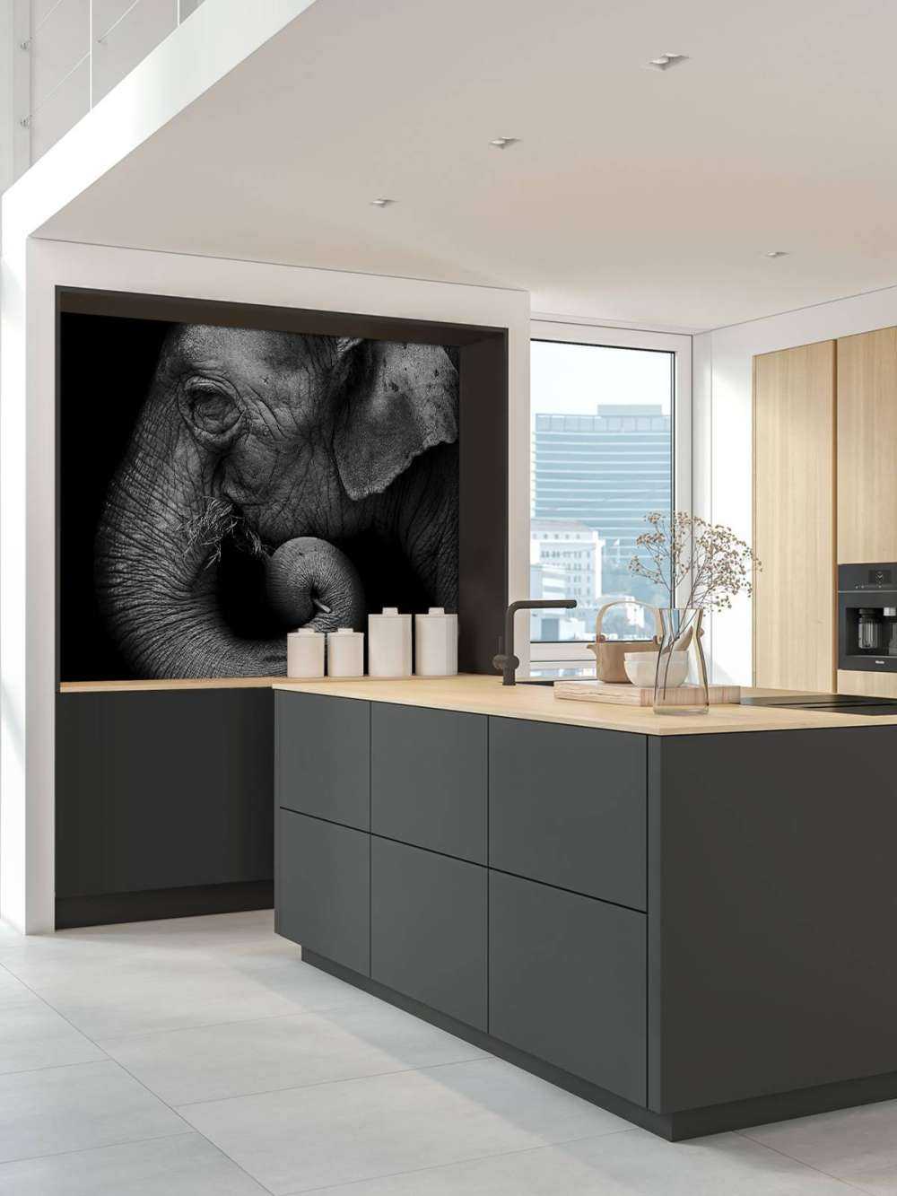 Ritratto di elefante