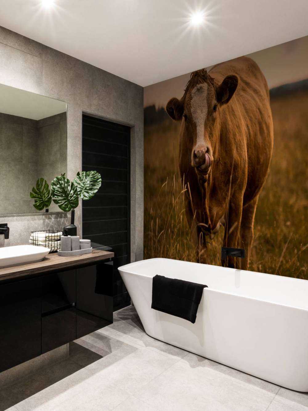 Mucca con la lingua nel naso