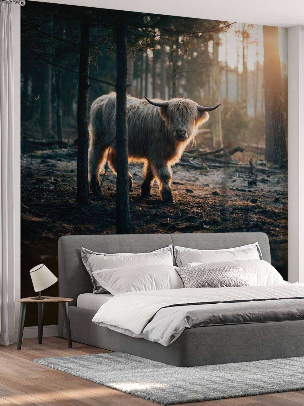 Highlander scozzese bianco