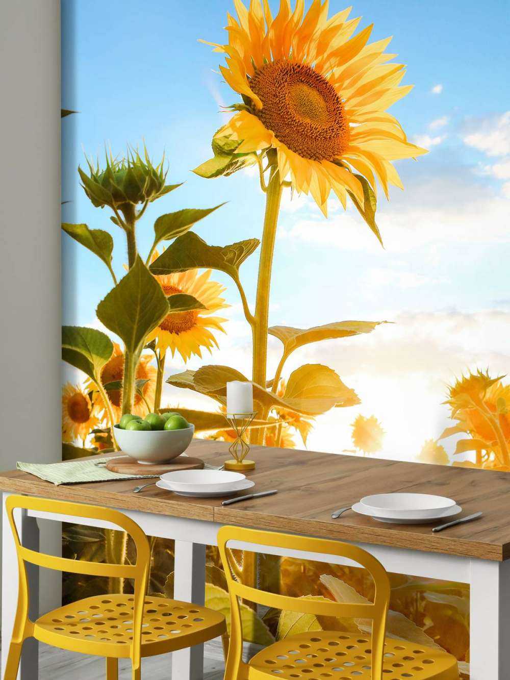 Girasole con cielo blu