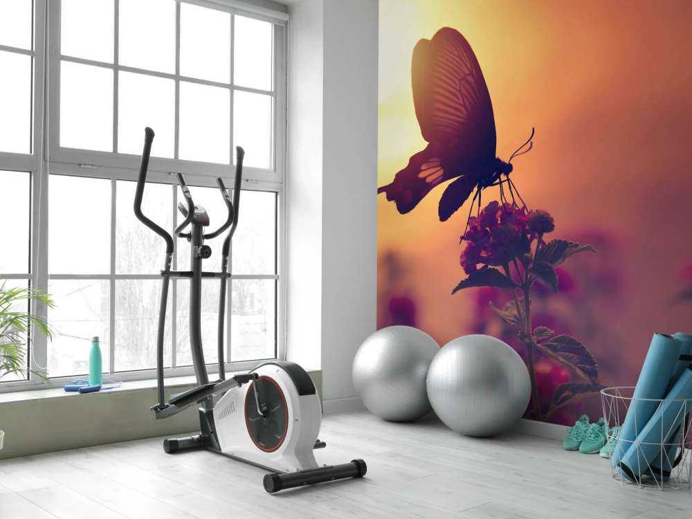 Farfalla con il tramonto