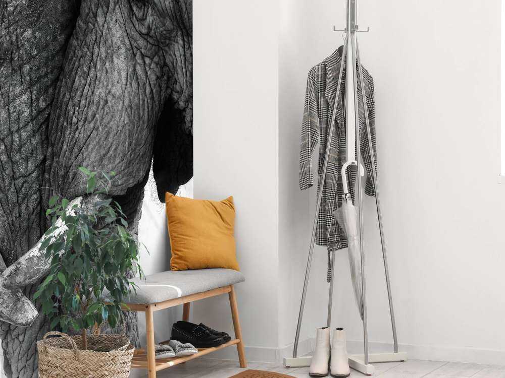 Foto carta da parati elefanti