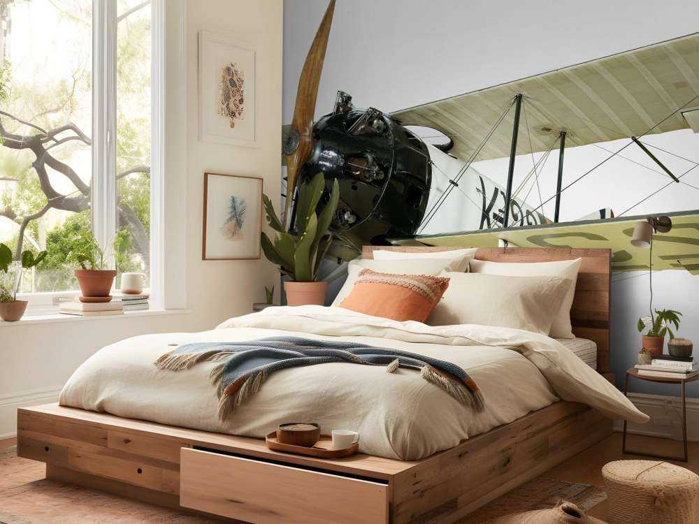 Vecchio aereo FK 23 Bantam