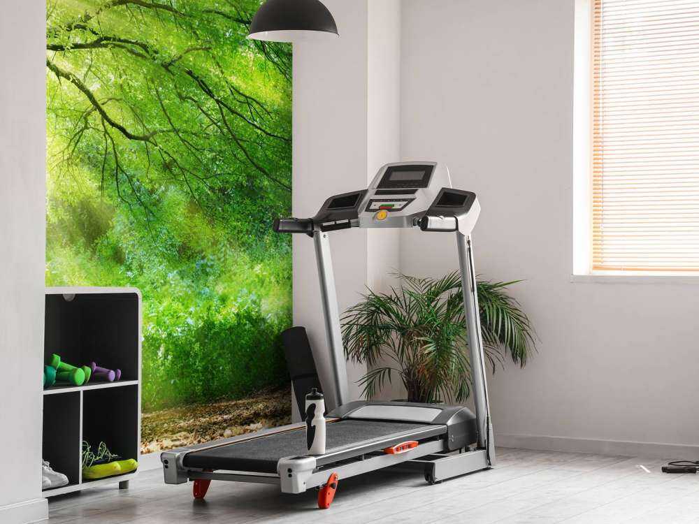 Grande albero con sole