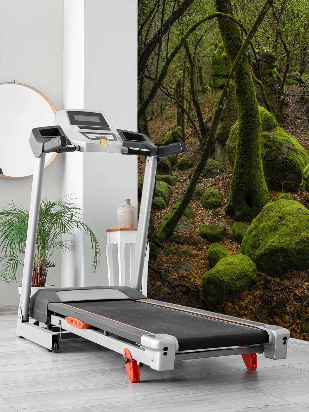 Alberi e pietre di muschio