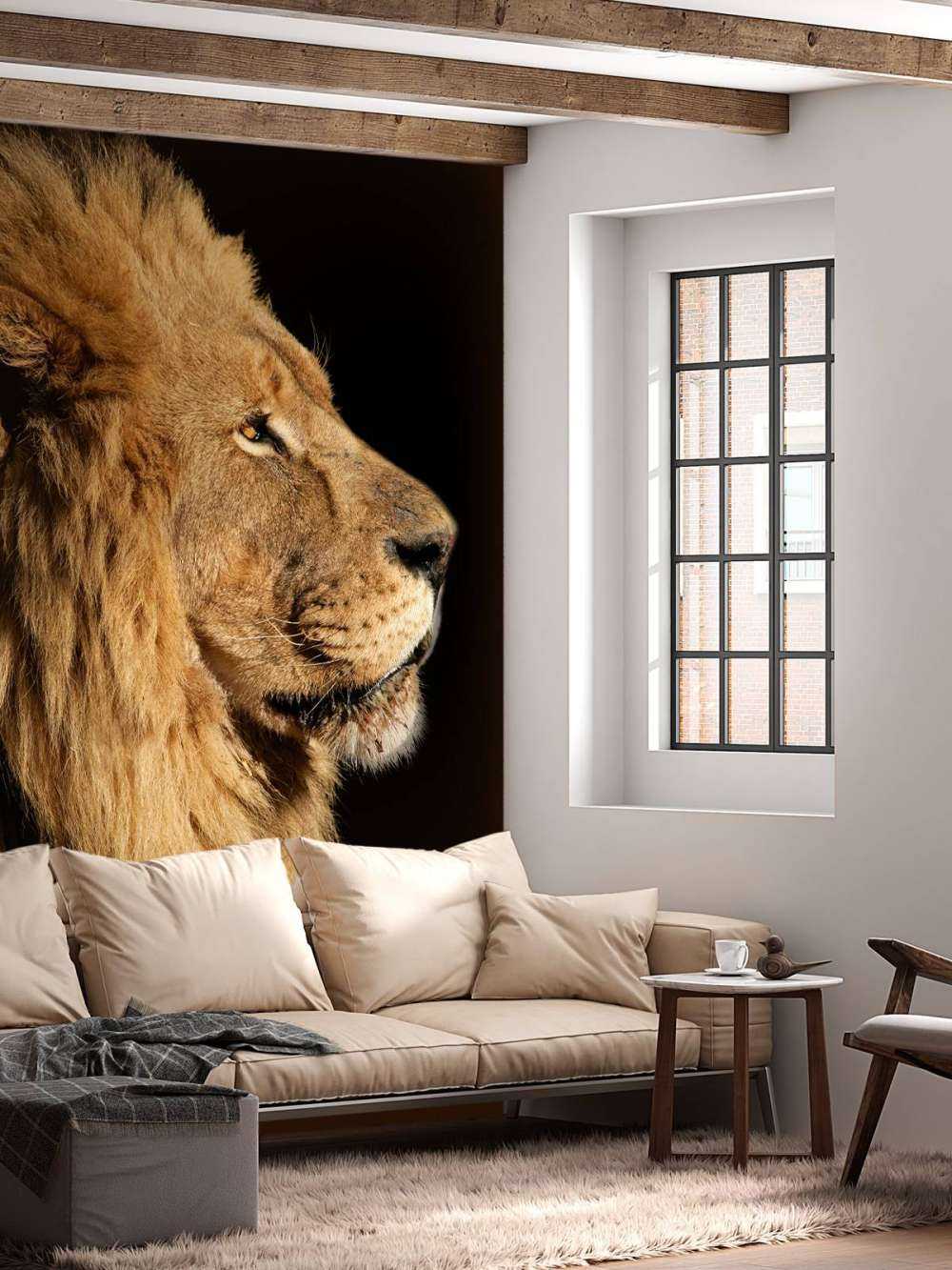 Profilo laterale di un leone