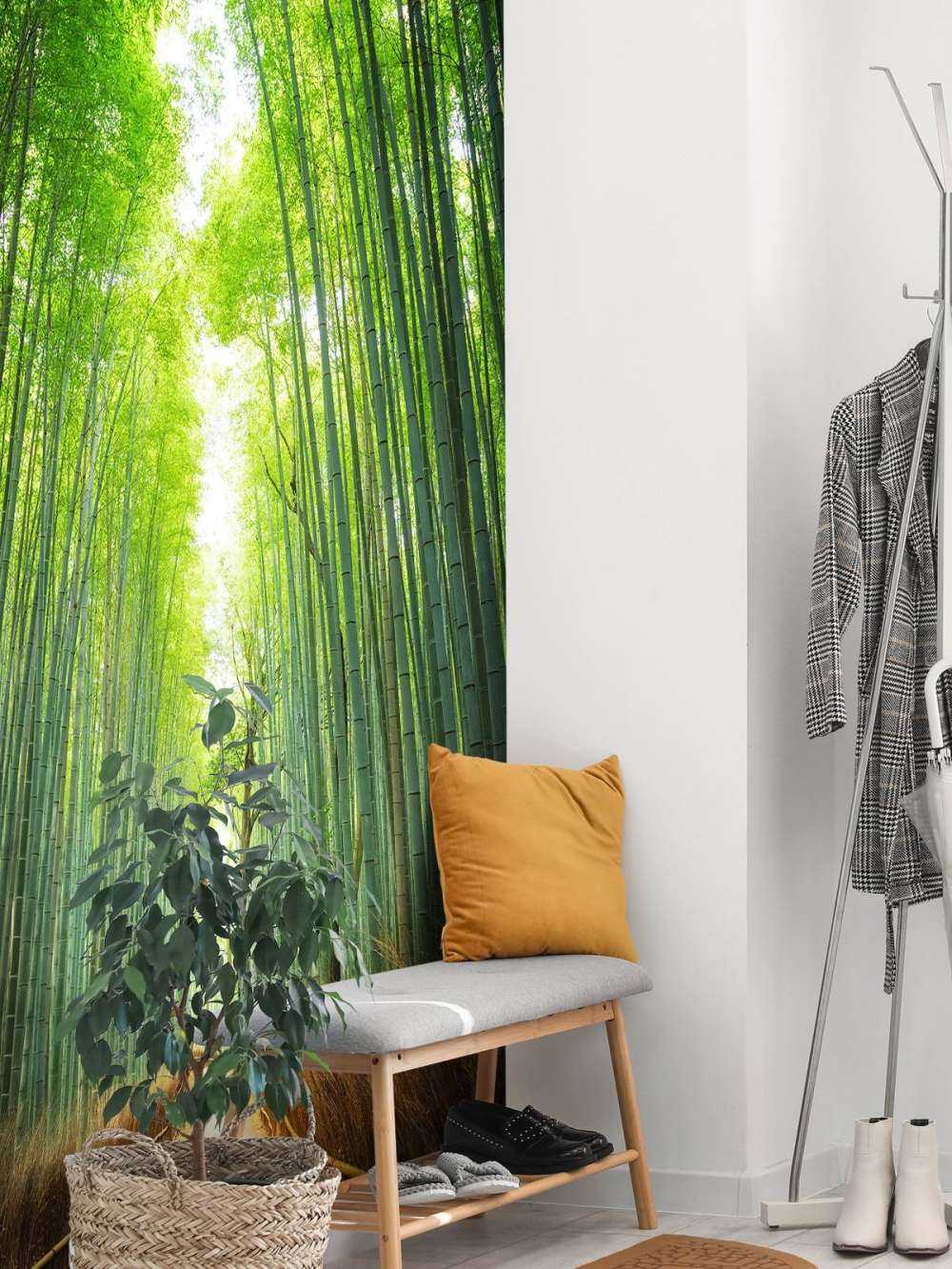 Sentiero attraverso il bambù