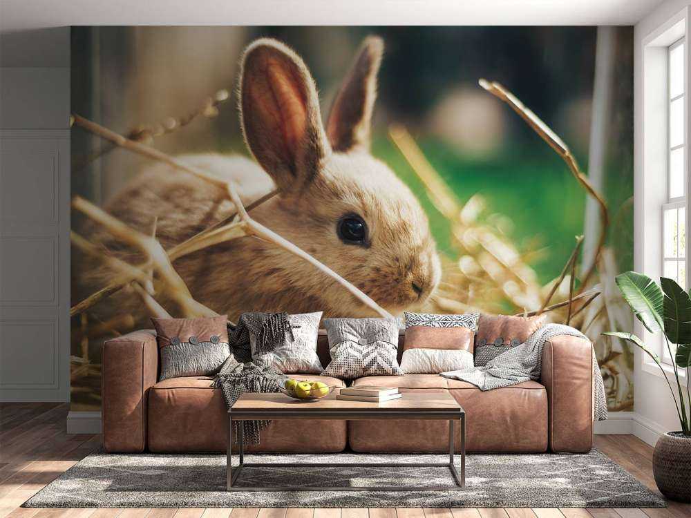 Coniglio nella paglia