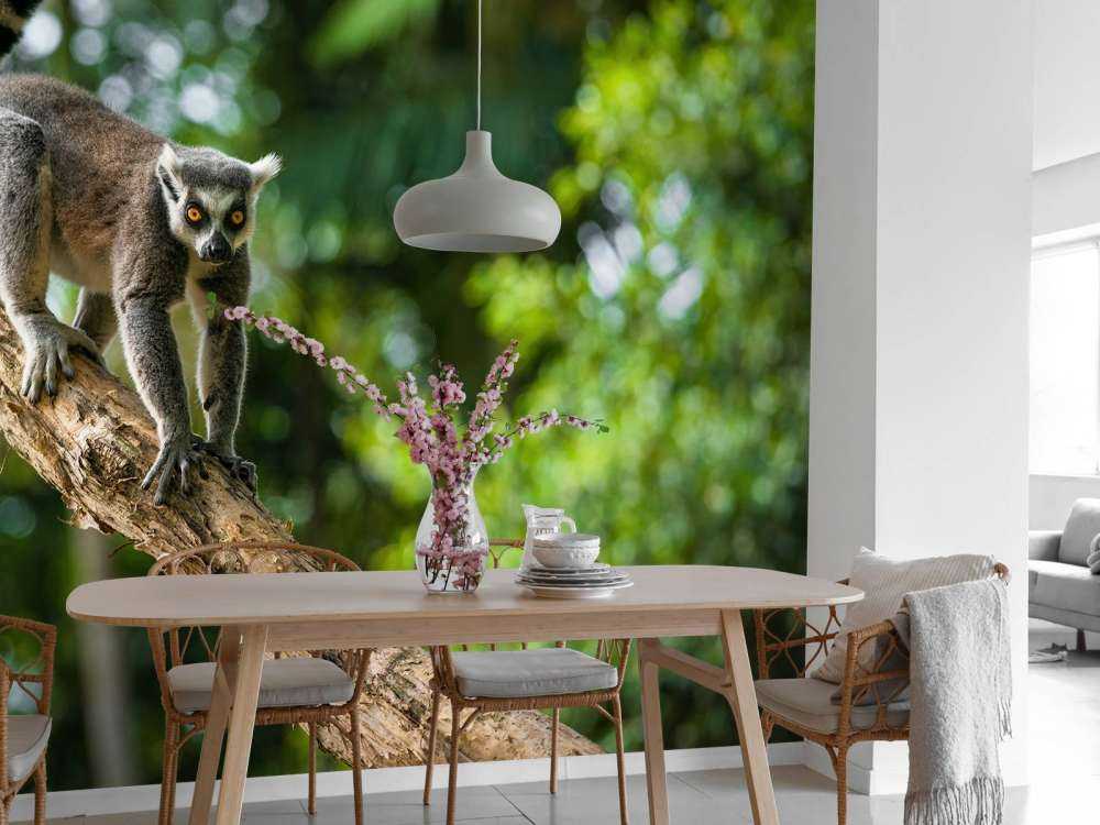 Scimmia dalla coda ad anelli su un albero