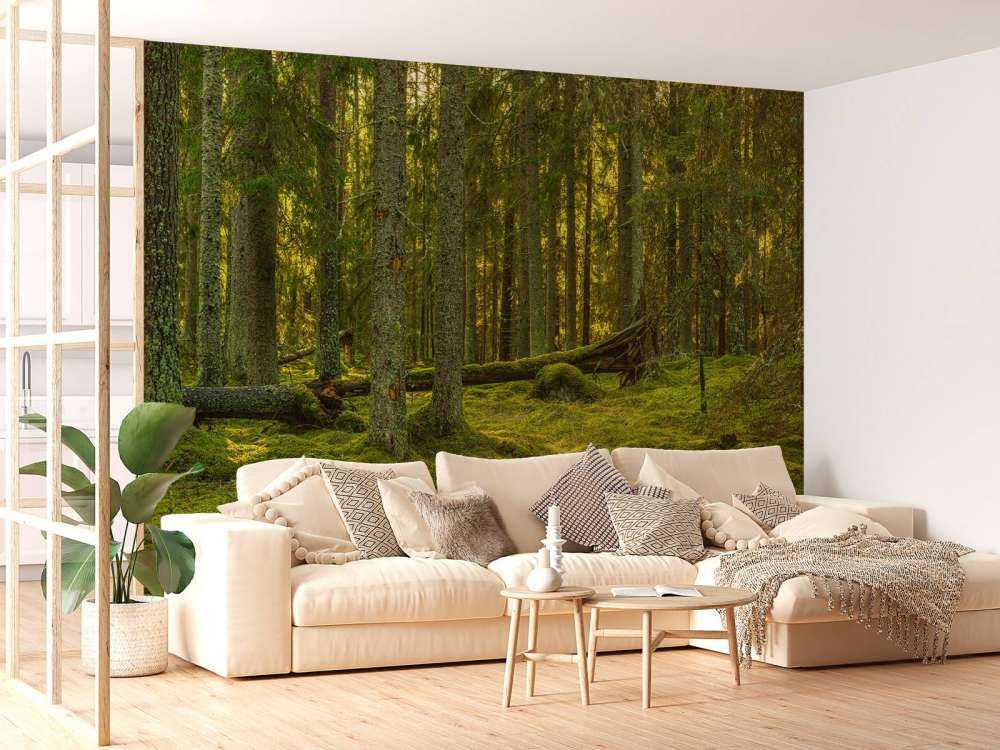 Foresta di pini verdi