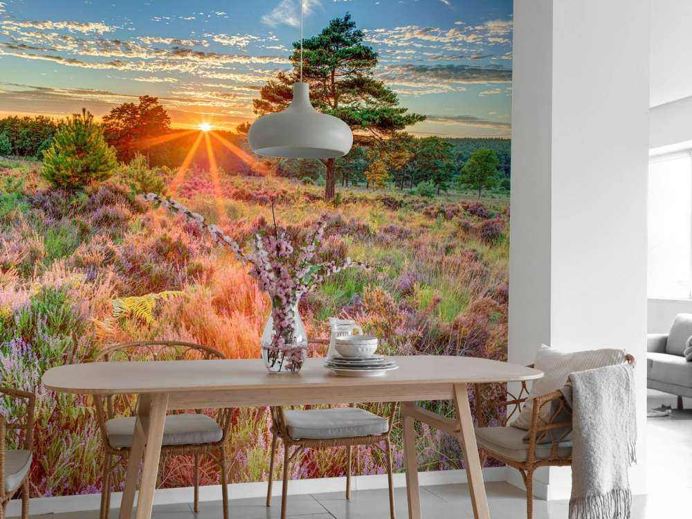 Tramonto in campagna