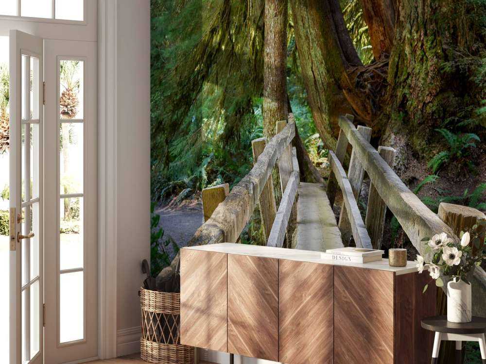 Ponte di legno attraverso la foresta 