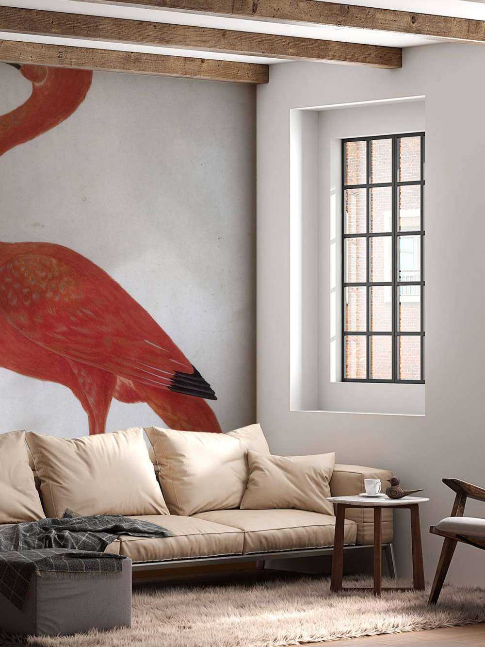 Ibis rosso con uovo