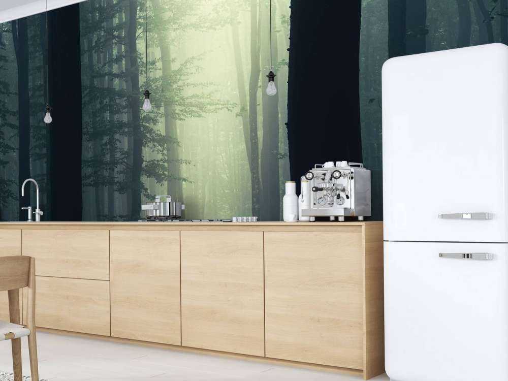 Raggio di sole nella foresta