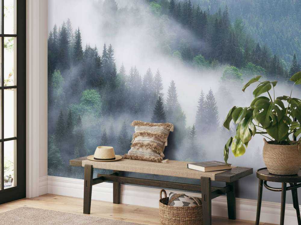 Foresta nebbiosa in montagna