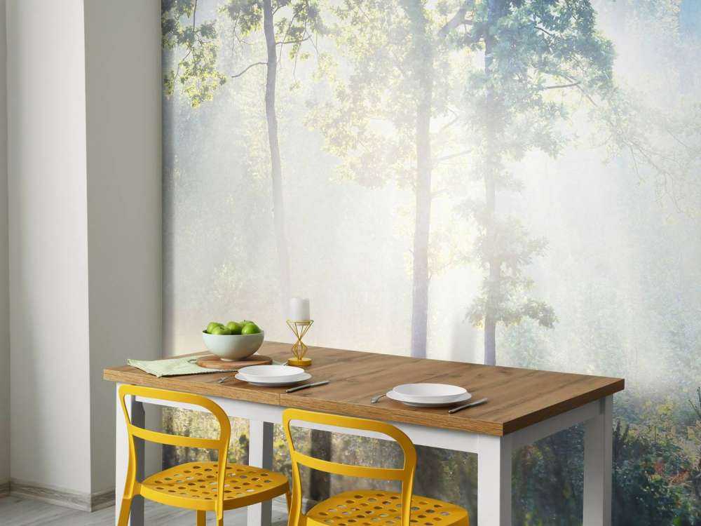 Una foresta misteriosa