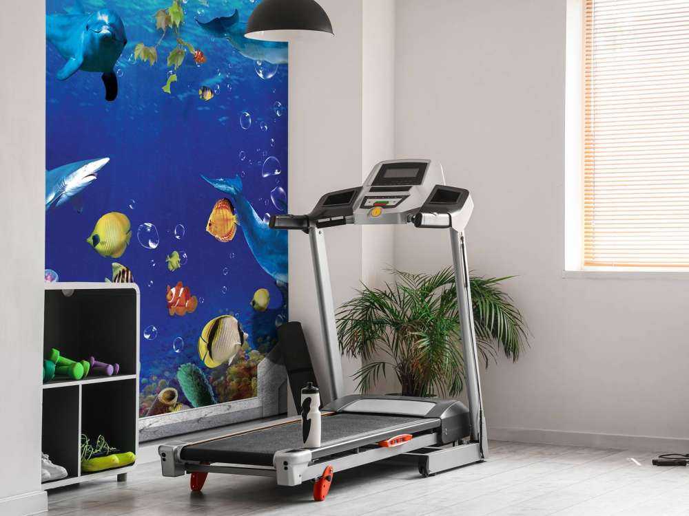 Delfini attraverso il muro