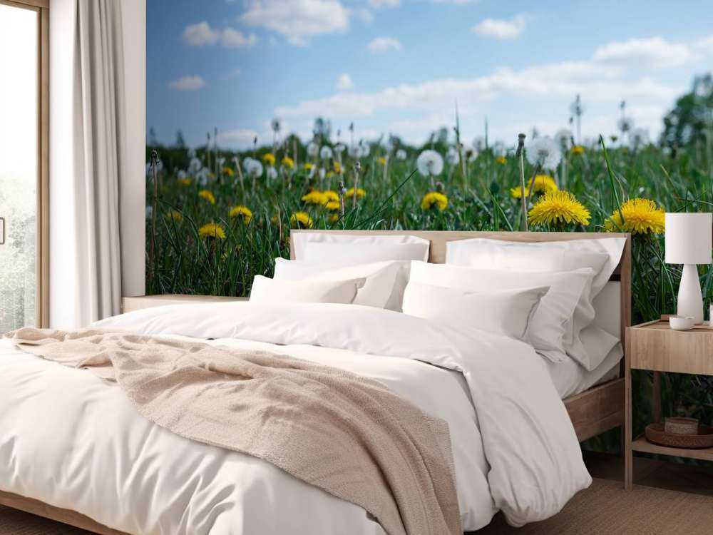 Denti di leone gialli