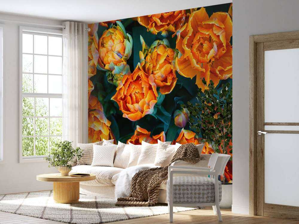 Tulipani arancioni ravvicinati