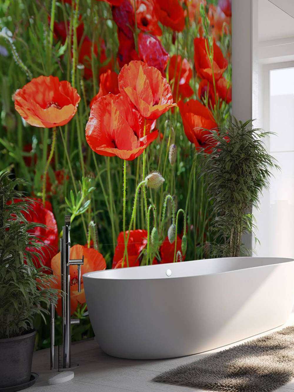 Primo piano di papaveri