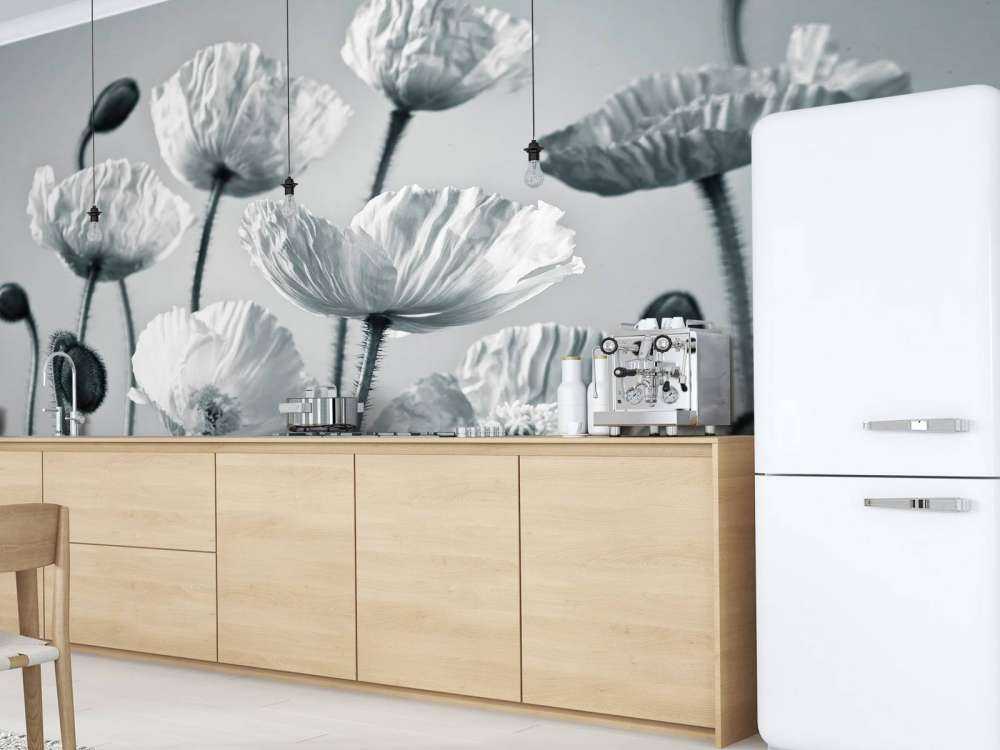 Papaveri di tono blu