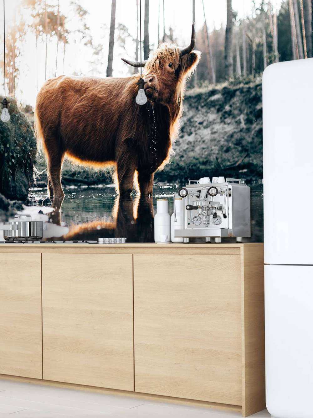 Highlander scozzese in acqua