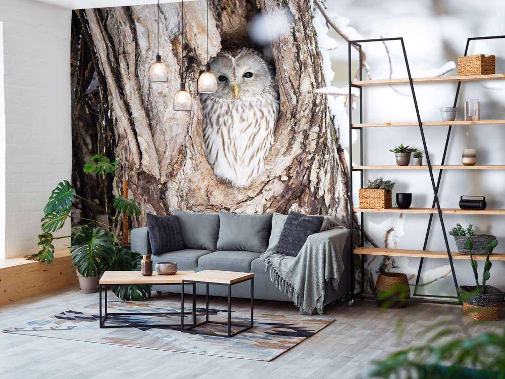 Gufo bianco in un albero cavo