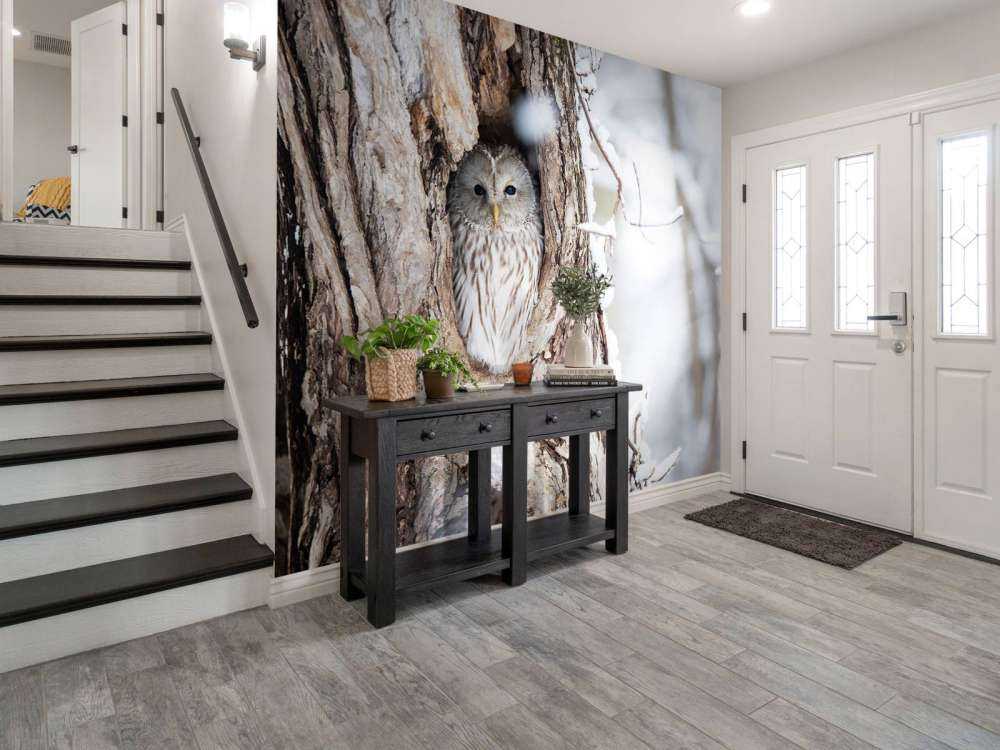 Gufo bianco in un albero cavo