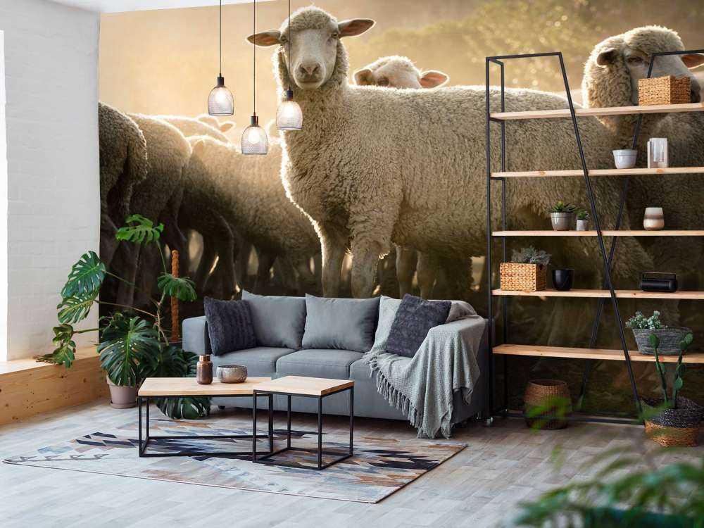 Gregge di pecore con l'ora d'oro