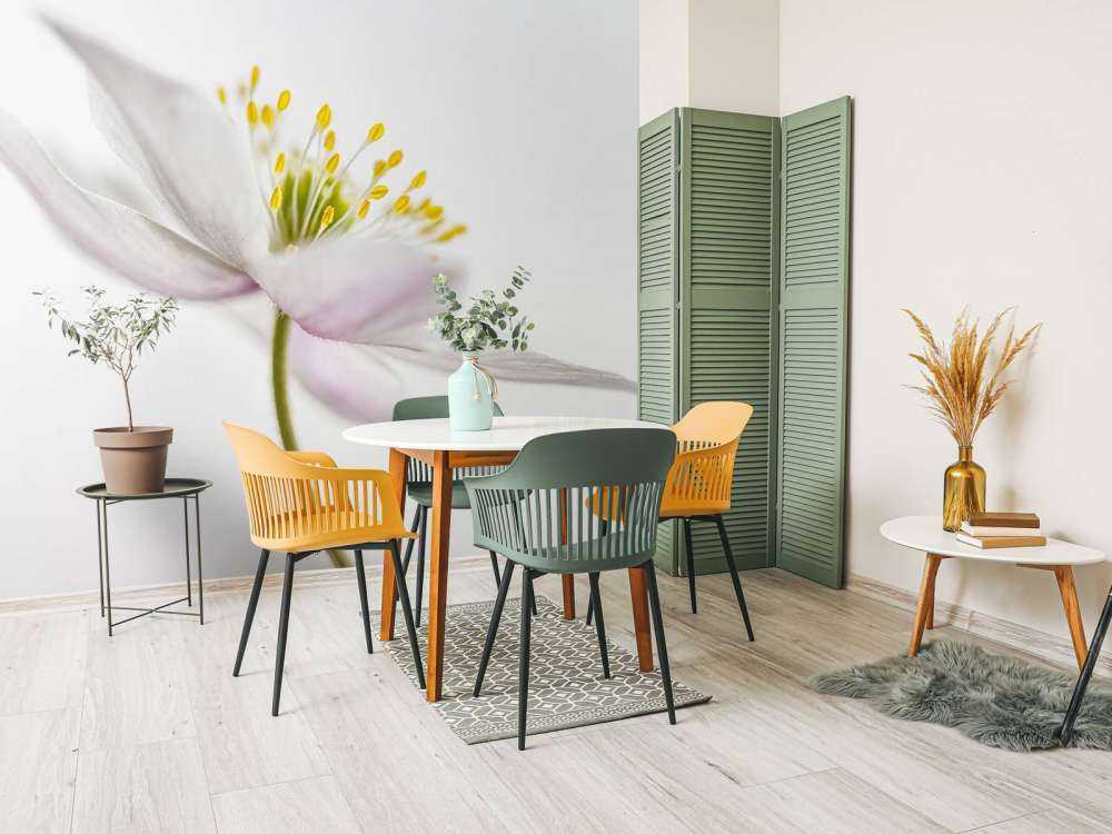 Beautiful Nemorosa**