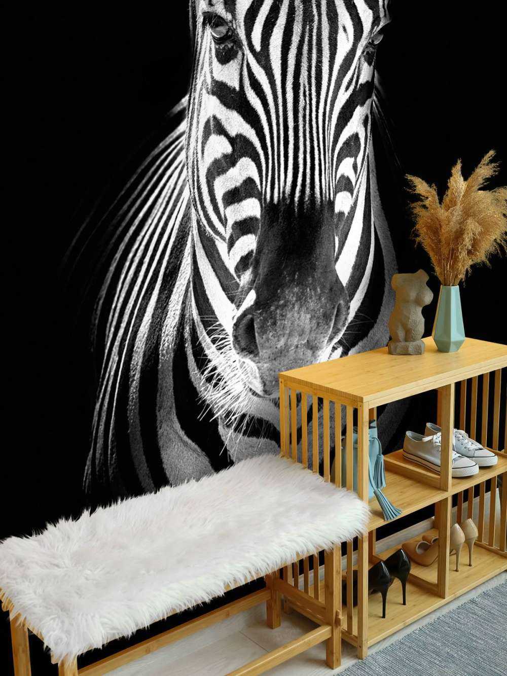 Close-up zebra in bianco e nero