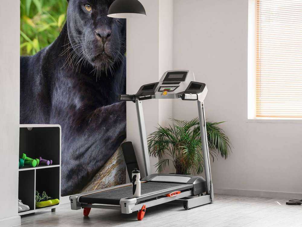 Pantera nera su un albero