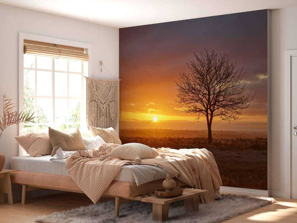 Alba colorata sulla brughiera