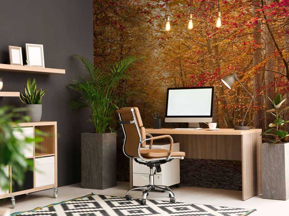 Pathway through Autumn forest