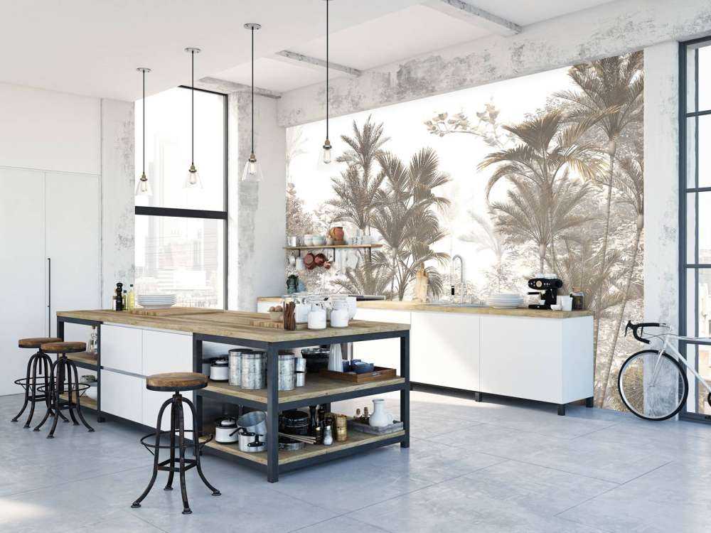 Luce del Sole attraverso le Palme