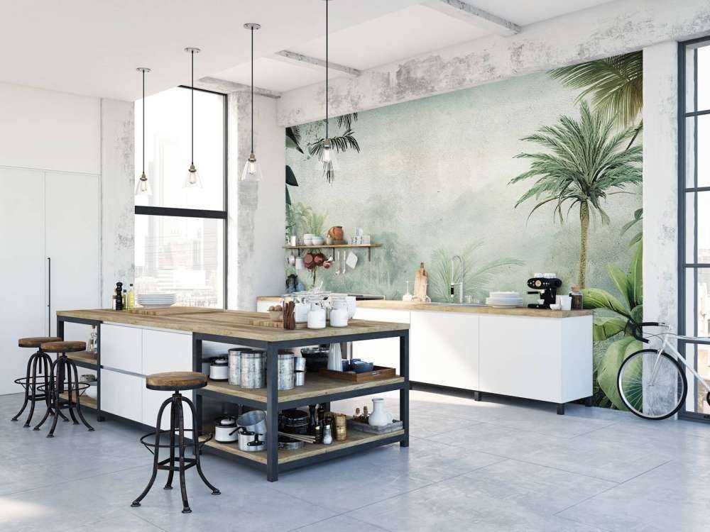 Mistero Tropicale Nebbioso