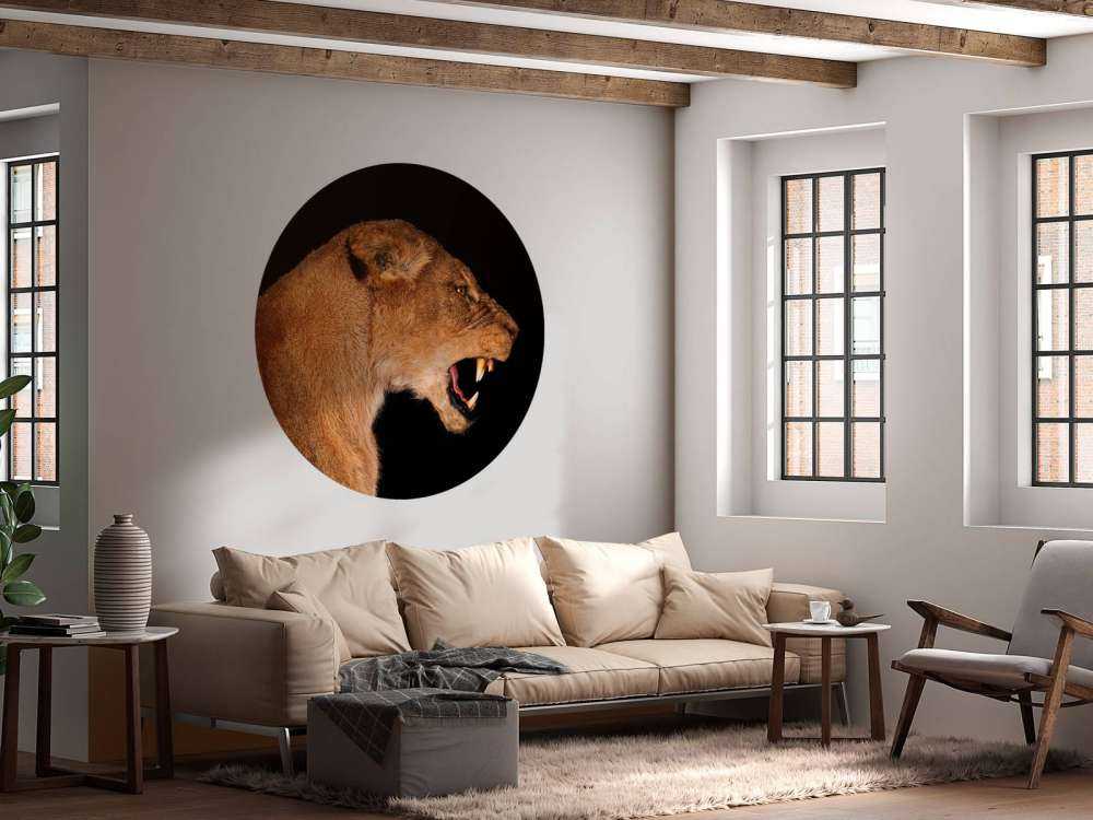 Vista laterale leonessa