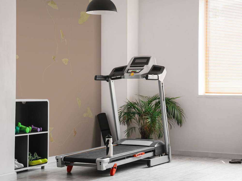 Rami di biancospino grigio tortora