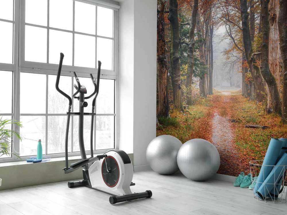 Sentiero forestale con alberi secolari