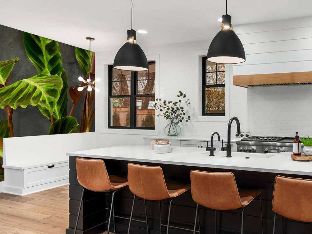 Pianta con belle foglie verdi