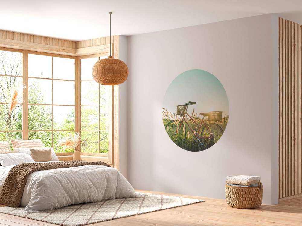 Bicicletta vintage rossa