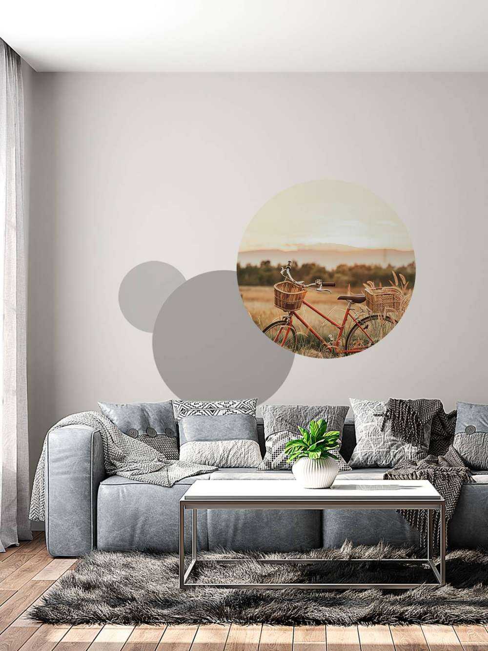 Bici d'epoca in estate