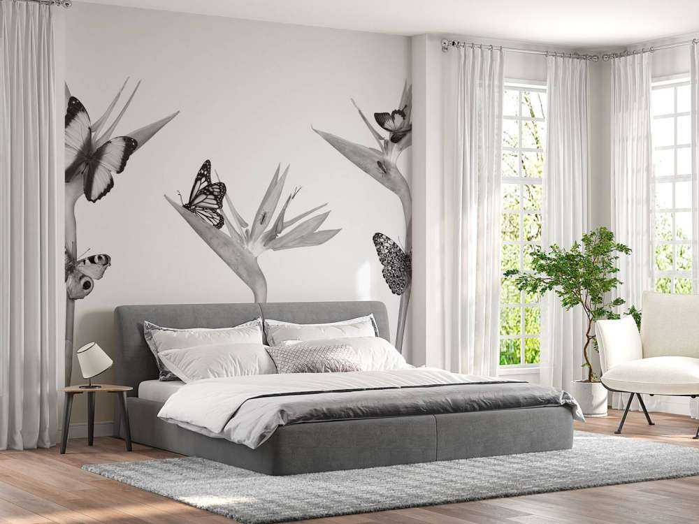 Farfalle su fiori di uccello del paradiso