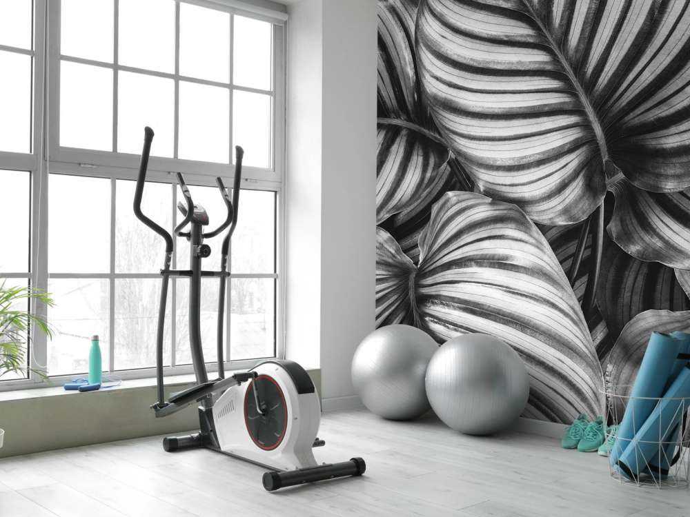 Pianta con foglie a strisce