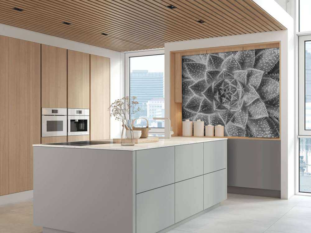 Primo piano di una succulenta