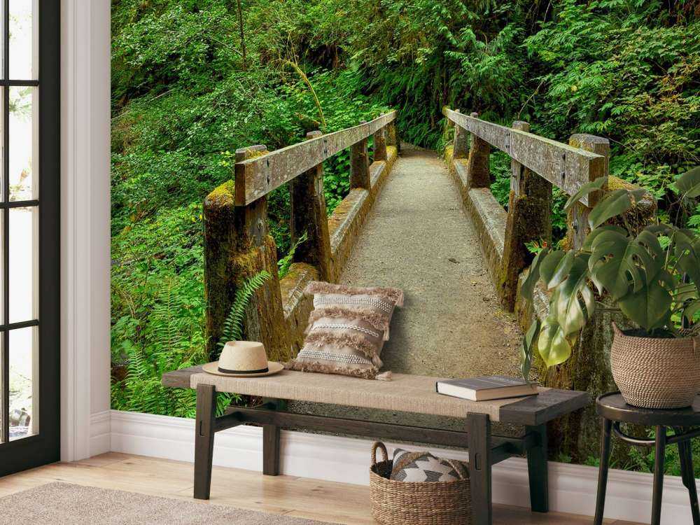 Un ponte nella foresta