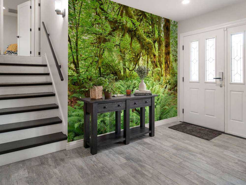 Felci in un vecchio bosco