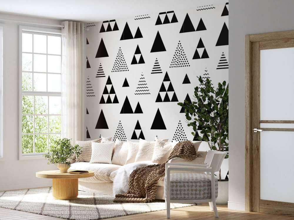 Triangoli in bianco e nero